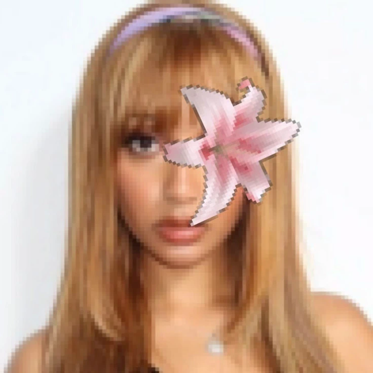 momo icon